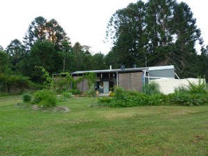 Starting to look like it belongs